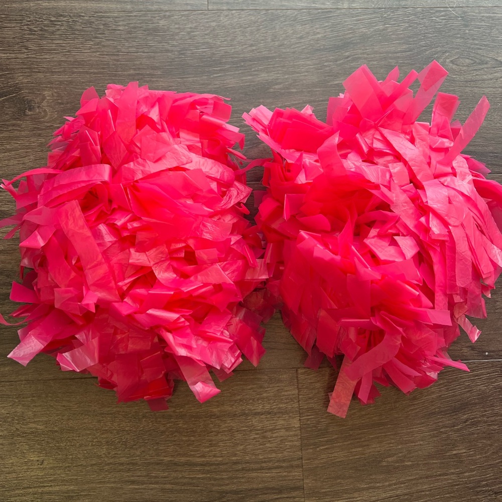 Omni cheer poms